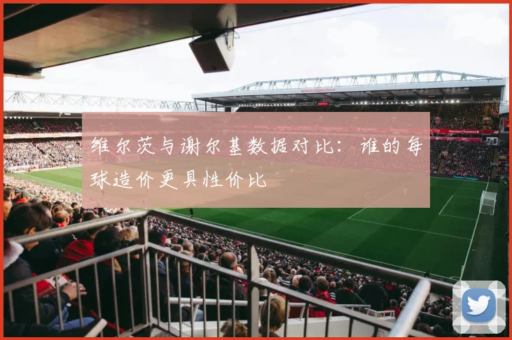 维尔茨与谢尔基数据对比：谁的每球造价更具性价比