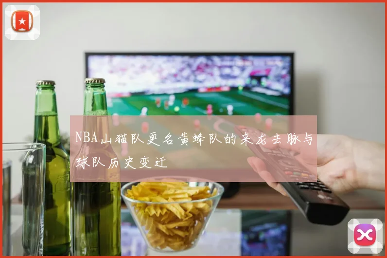 NBA山猫队更名黄蜂队的来龙去脉与球队历史变迁