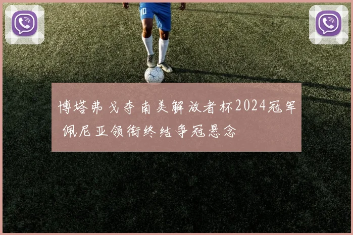 博塔弗戈夺南美解放者杯2024冠军 佩尼亚领衔终结争冠悬念