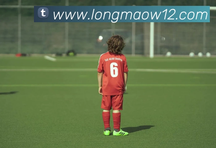 九游官网入口老版本平台生态图