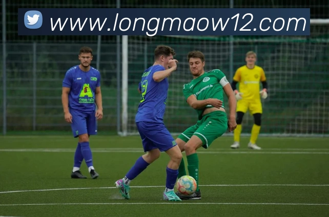 九游官网入口老版本APP 封面图